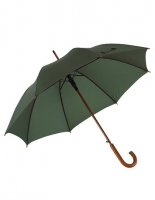 Paraplu de luxe groen met bedrukking